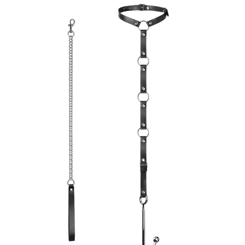 with and Kinky Anal Hook Leash 5853 EverydayUse Collar 0704